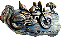 Riberas del Voltoya motorcycle rally badge from Jean-Francois Helias