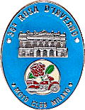 Rosa d