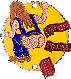 Shittin Bricks motorcycle rally badge from Phil Drackley